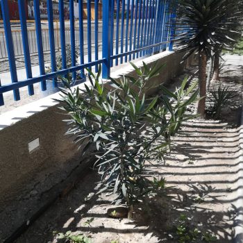 constructora_green-confeccion_cierre_perimetral_campus_acacias-3